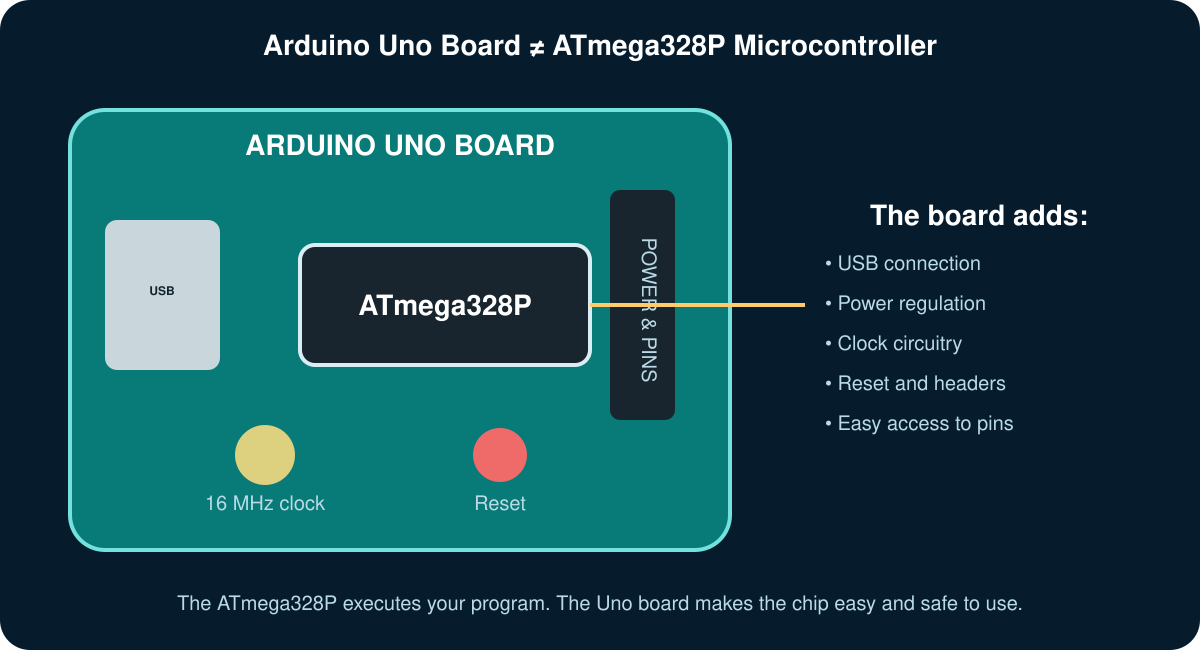 Arduino Uno board versus ATmega328P chip